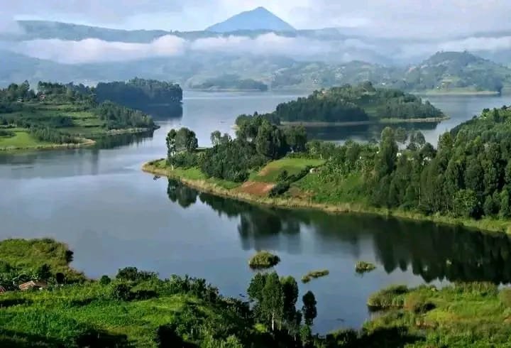 Cross Border Gorilla and Golden Monkey Safari